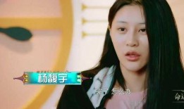 王蒙爆料杨馥宇视频播放,真相与争议