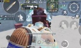 和平精英打击爆料视频,打击爆料视频背后的真相与内幕